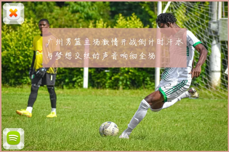 广州男篮主场激情开战倒计时汗水与梦想交织的声音响彻全场