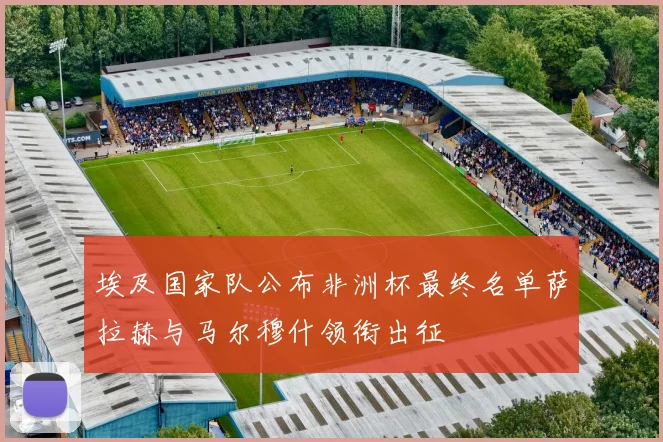 埃及国家队公布非洲杯最终名单萨拉赫与马尔穆什领衔出征